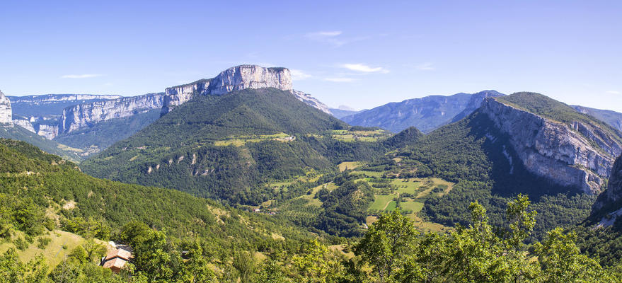 Cabinet Vossey - Roussillon